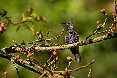 生化系列销量突破1.31亿份 卡普空盼《生化4RE》销量高